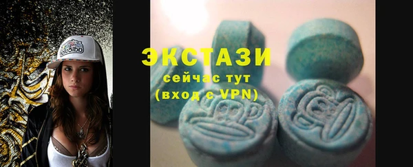 индика Коряжма