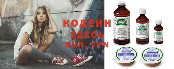 индика Коряжма