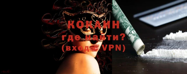 индика Коряжма