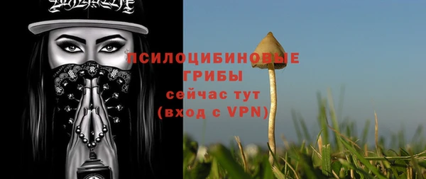 спиды Козельск