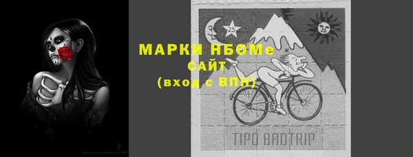 индика Коряжма