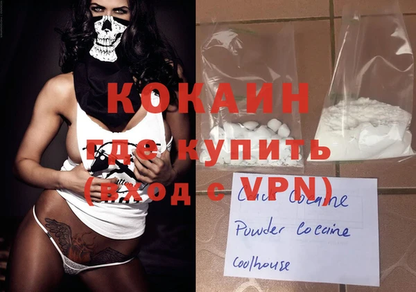 индика Коряжма