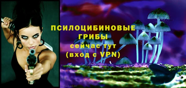 спиды Козельск