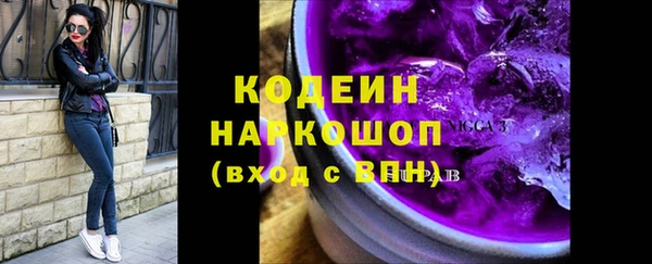 индика Коряжма