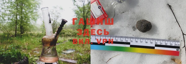 сатива Кодинск