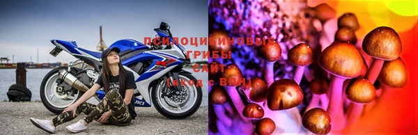 mix Корсаков