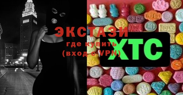 индика Коряжма