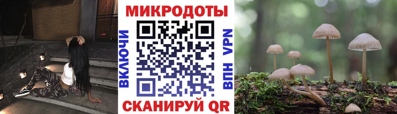 Купить где  Дрезна  Псилоцибиновые грибы прущие грибы 